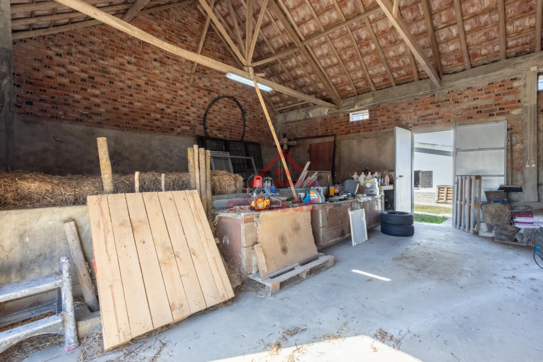 Quinta T7 para Venda em Usseira Foto 54