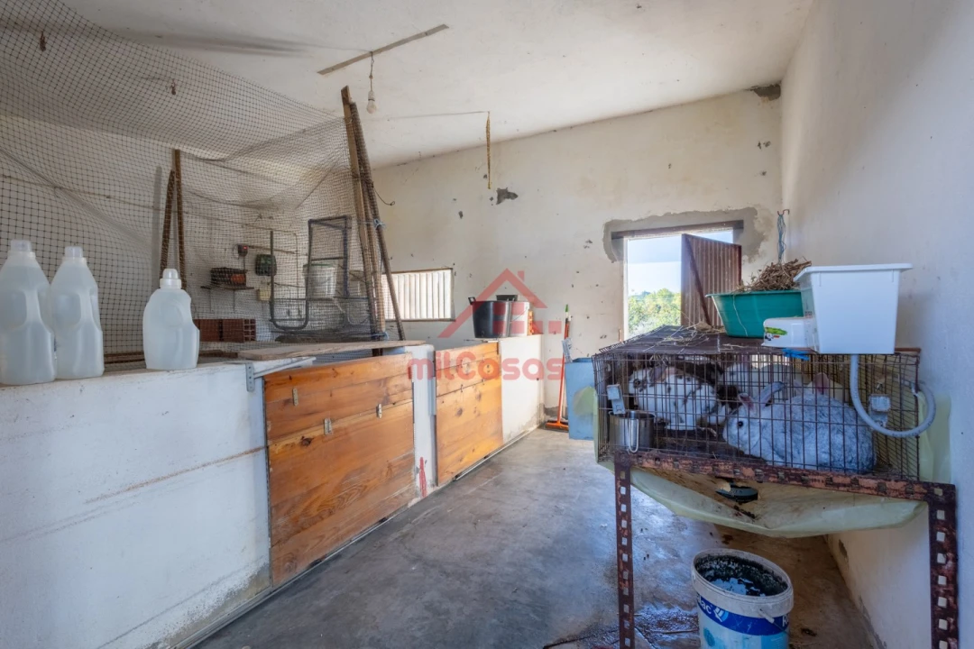Quinta T7 para Venda em Usseira Foto 58