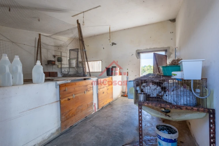 Quinta T7 para Venda em Usseira Foto 58