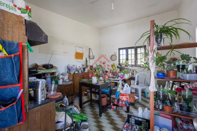 Quinta T7 para Venda em Usseira Foto 52