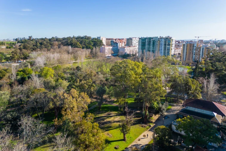 Apartamento T4 para Venda em Lumiar Foto 31