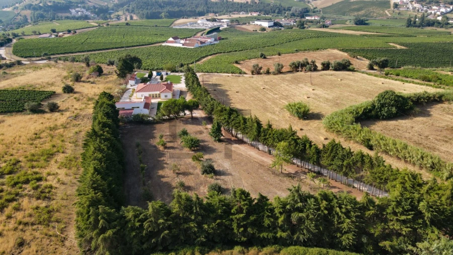 Moradia T4 para Venda em Aldeia Galega da Merceana e Aldeia Gavinha