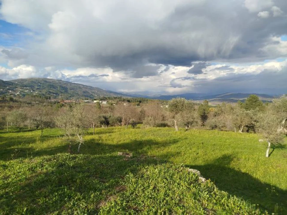 Quinta T4 para Venda em Teixoso e Sarzedo Foto 10