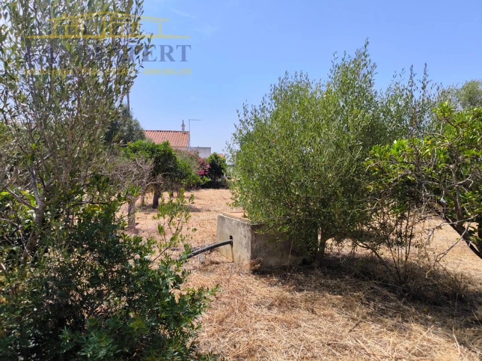 Moradia T2 para Venda em Silves Foto 25