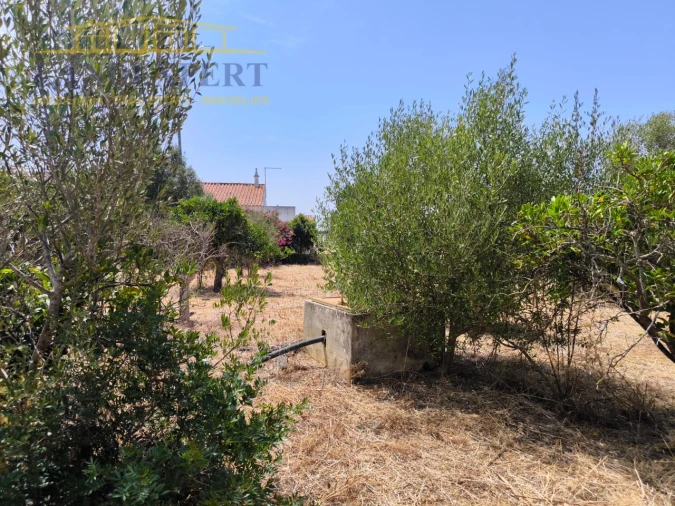 Moradia T2 para Venda em Silves Foto 25