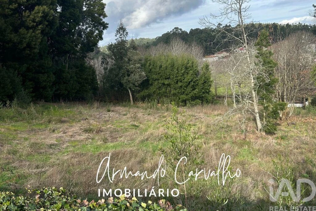 Terreno para Venda em Lobão, Gião, Louredo e Guisande Foto 5