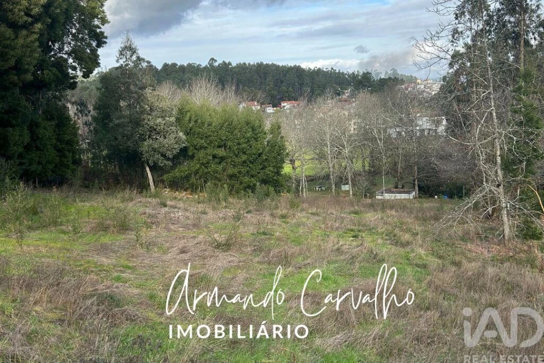 Terreno para Venda em Lobão, Gião, Louredo e Guisande Foto 4