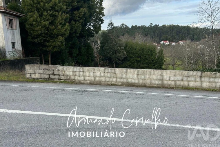 Terreno para Venda em Lobão, Gião, Louredo e Guisande Foto 3
