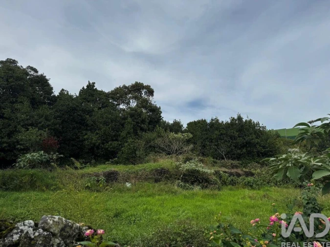 Terreno para Venda em Lagoa (Nossa Senhora do Rosario) Foto 3
