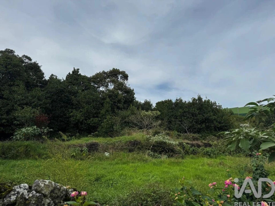 Terreno para Venda em Lagoa (Nossa Senhora do Rosario) Foto 3