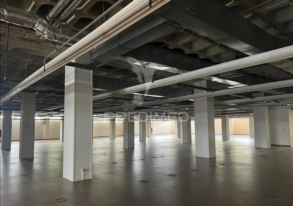 Armazém para Venda em Carnaxide e Queijas Foto 3