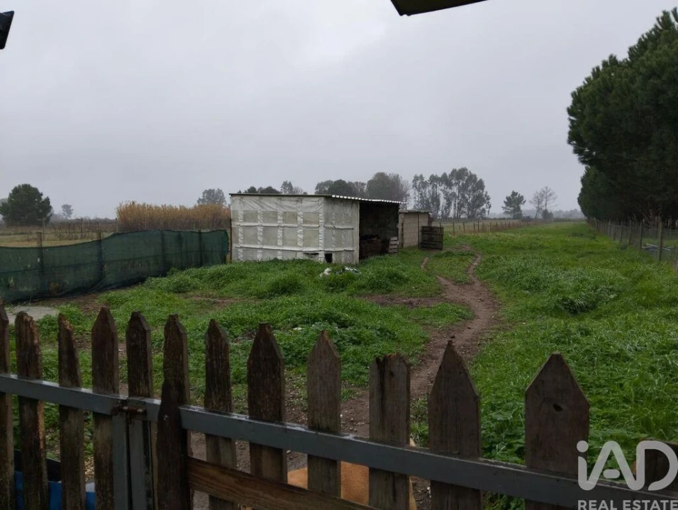 Terreno para Venda em Almeirim Foto 18