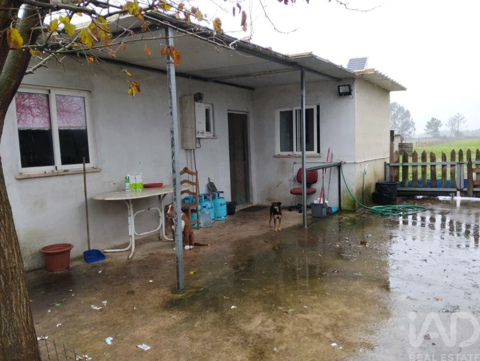 Terreno para Venda em Almeirim Foto 3