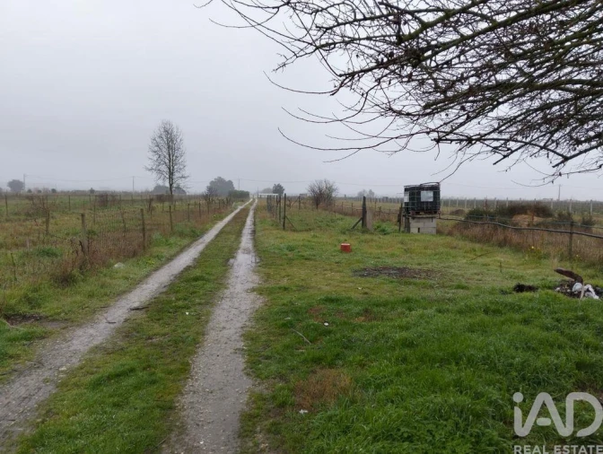 Terreno para Venda em Almeirim Foto 1