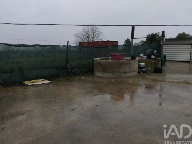 Terreno para Venda em Almeirim Foto 2