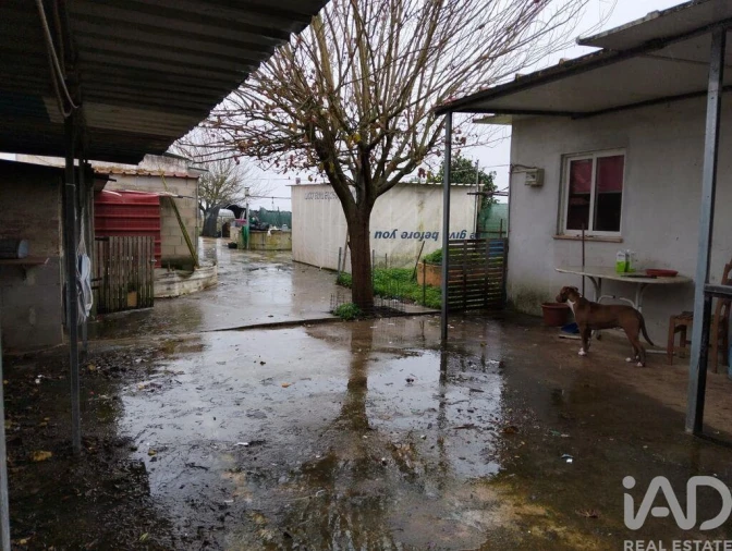 Terreno para Venda em Almeirim Foto 9