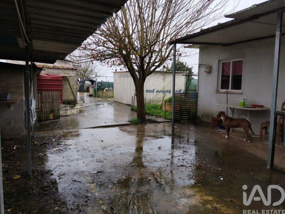 Terreno para Venda em Almeirim Foto 9