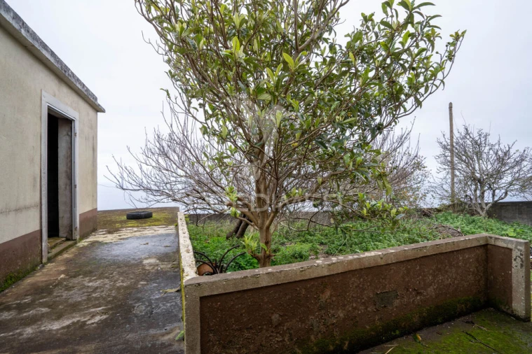 Moradia T3 para Venda em Porto Moniz Foto 3