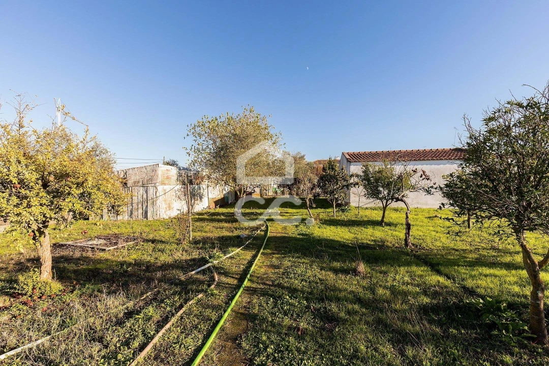 Quinta para Venda em Canaviais Foto 20