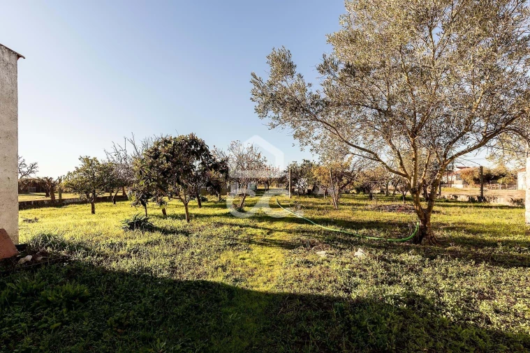 Quinta para Venda em Canaviais Foto 4