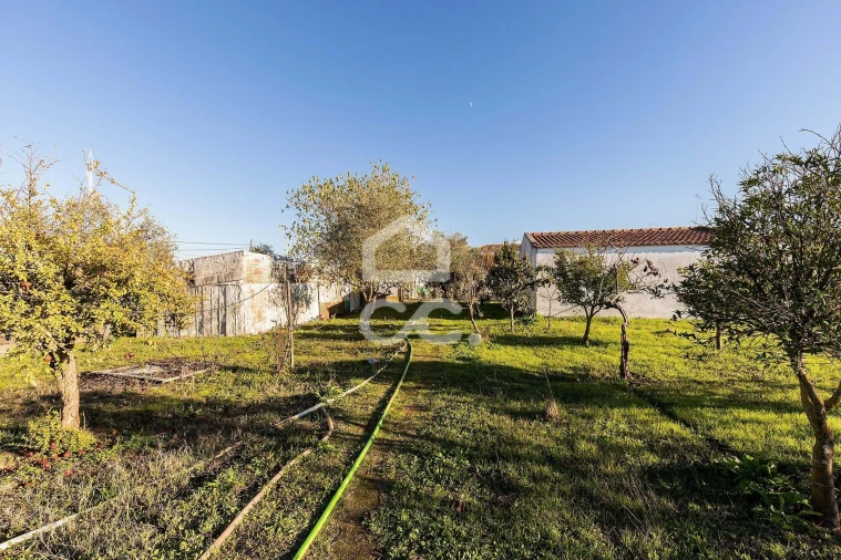 Quinta para Venda em Canaviais Foto 20