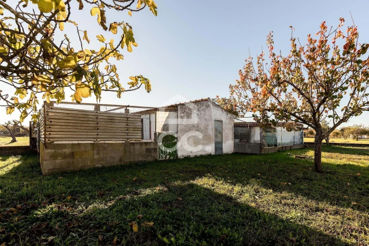 Quinta para Venda em Canaviais Foto 11