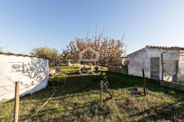 Quinta para Venda em Canaviais Foto 19