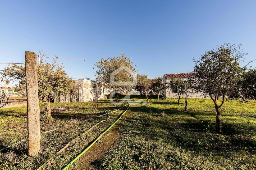 Quinta para Venda em Canaviais Foto 23