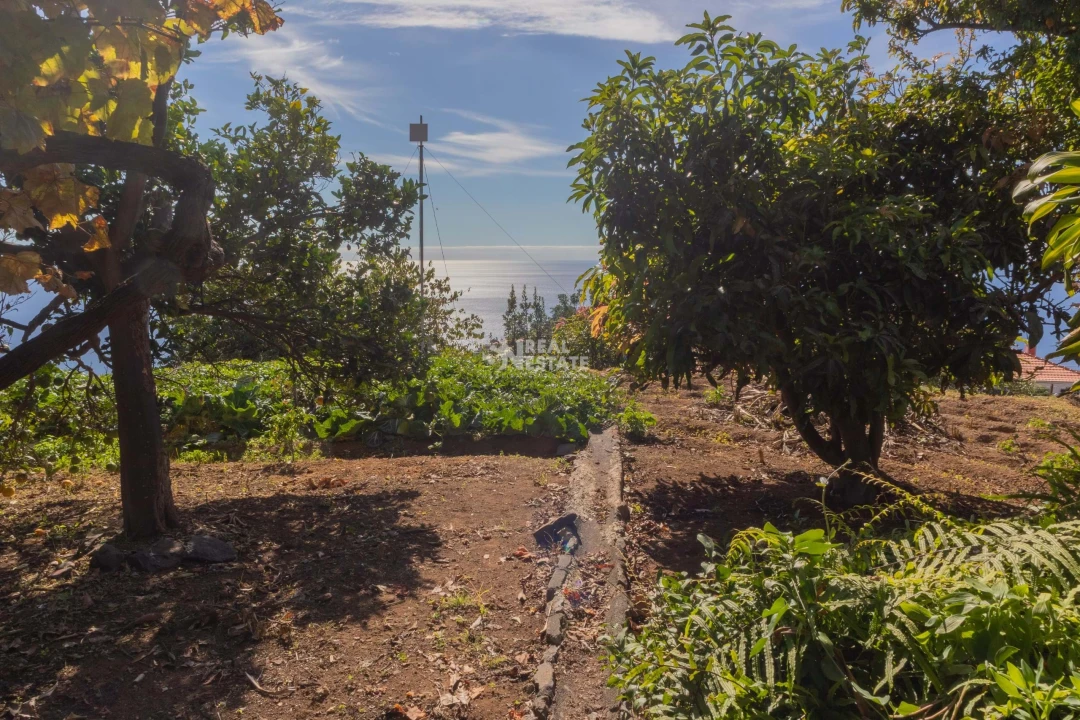 Moradia T3 para Venda em Canhas Foto 25