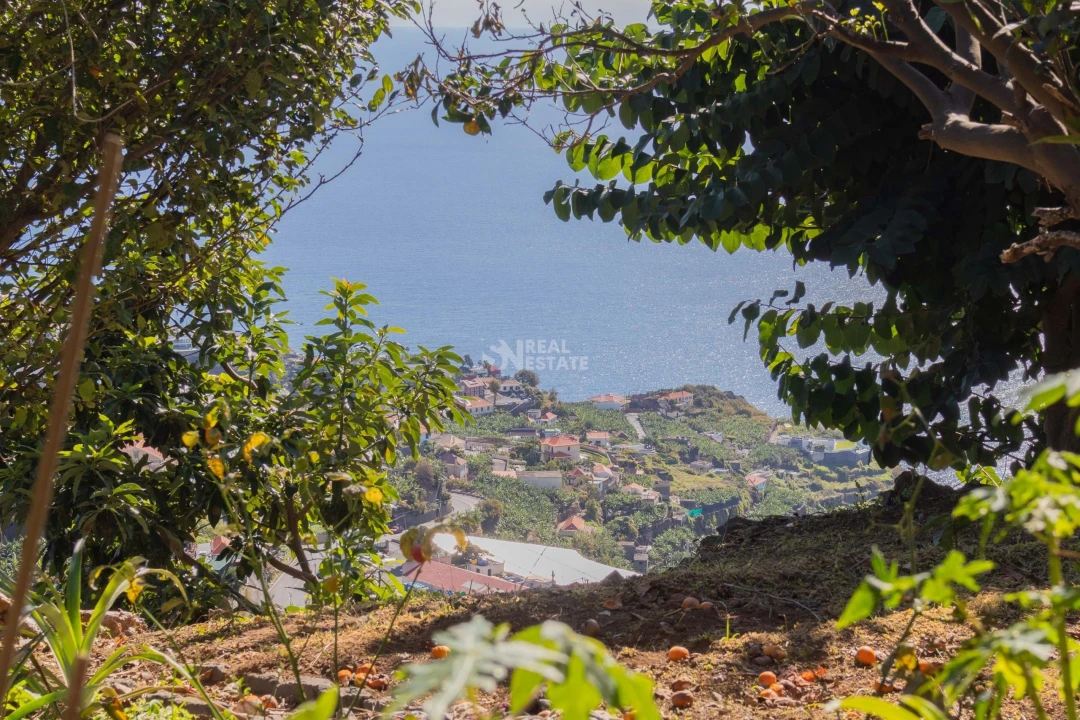 Moradia T3 para Venda em Canhas Foto 15