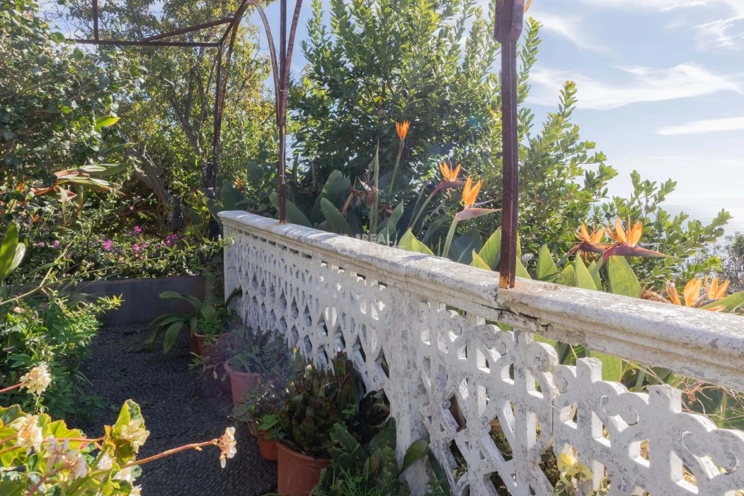 Moradia T3 para Venda em Canhas Foto 45