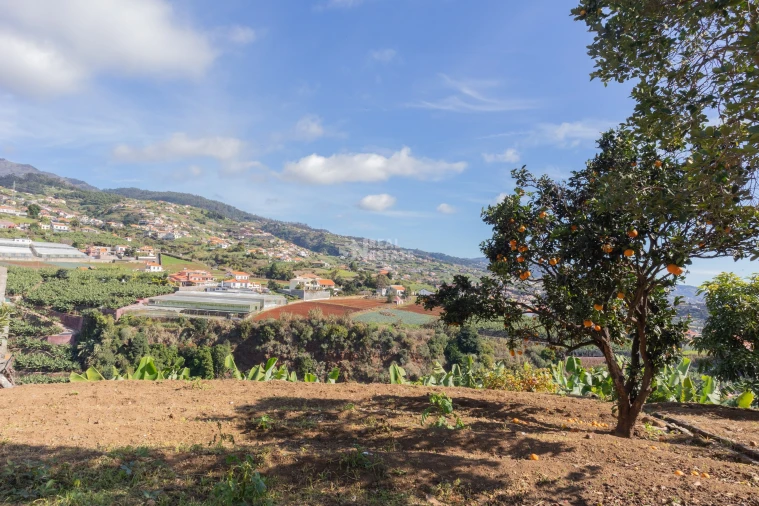 Moradia T3 para Venda em Canhas Foto 29