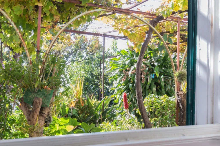 Moradia T3 para Venda em Canhas Foto 35