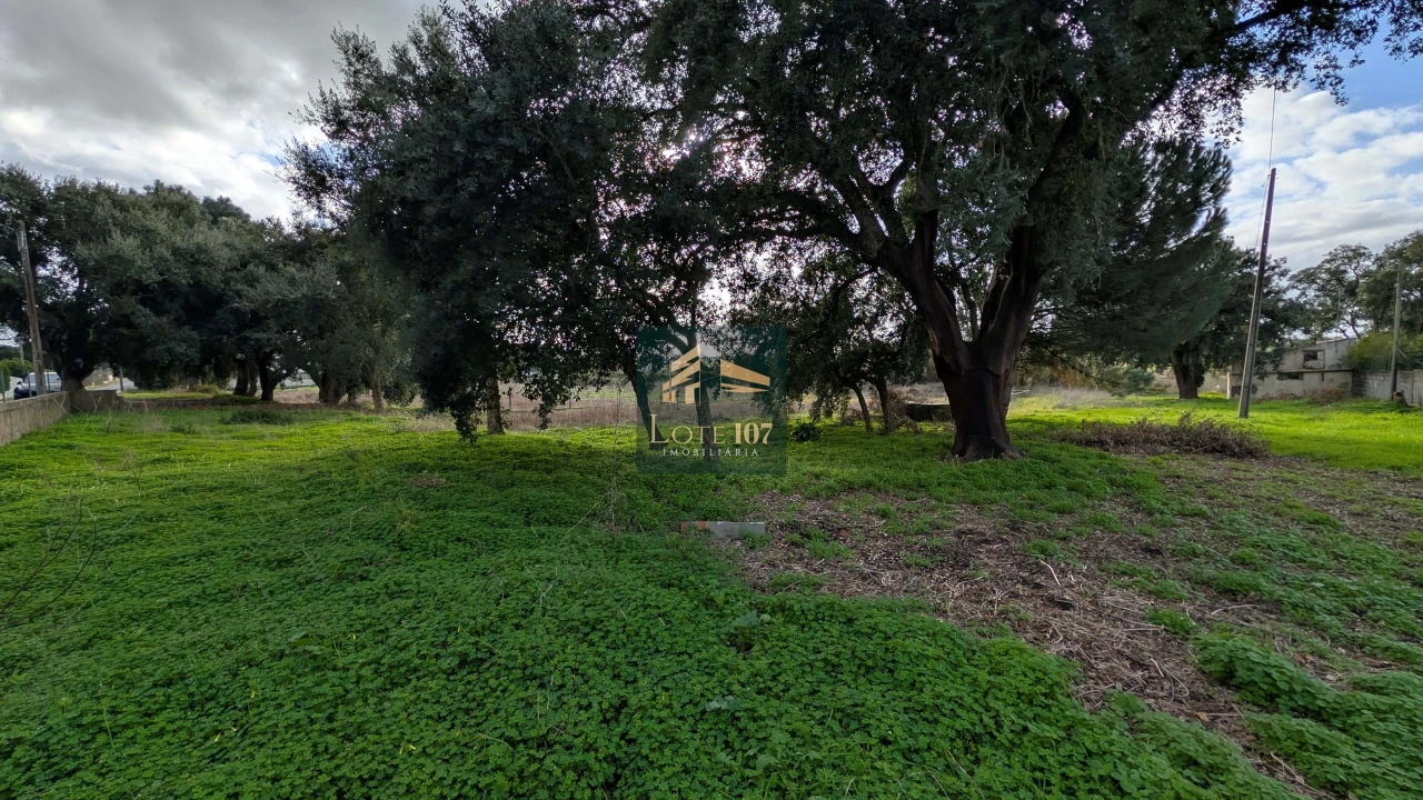 Terreno para Venda em Pinhal Novo Foto 10