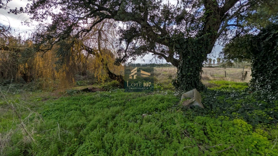 Terreno para Venda em Pinhal Novo Foto 14