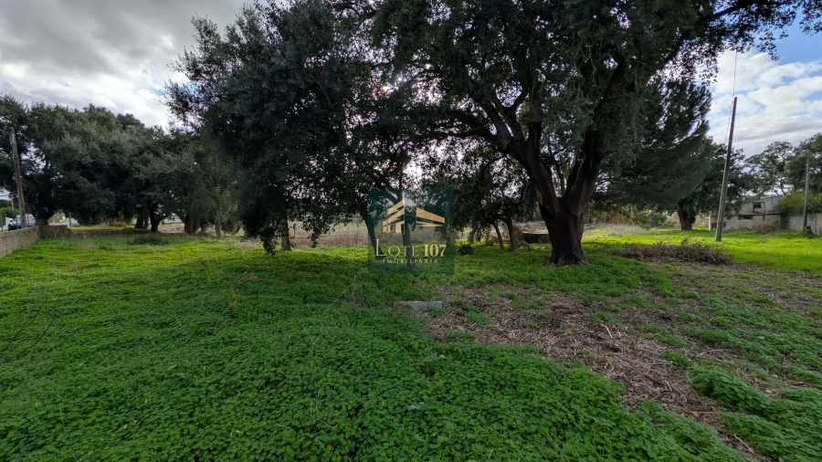 Terreno para Venda em Pinhal Novo Foto 10