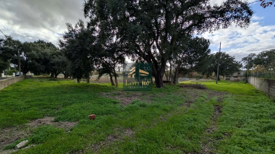 Terreno para Venda em Pinhal Novo Foto 11