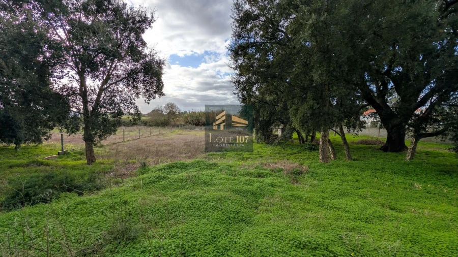 Terreno para Venda em Pinhal Novo Foto 16