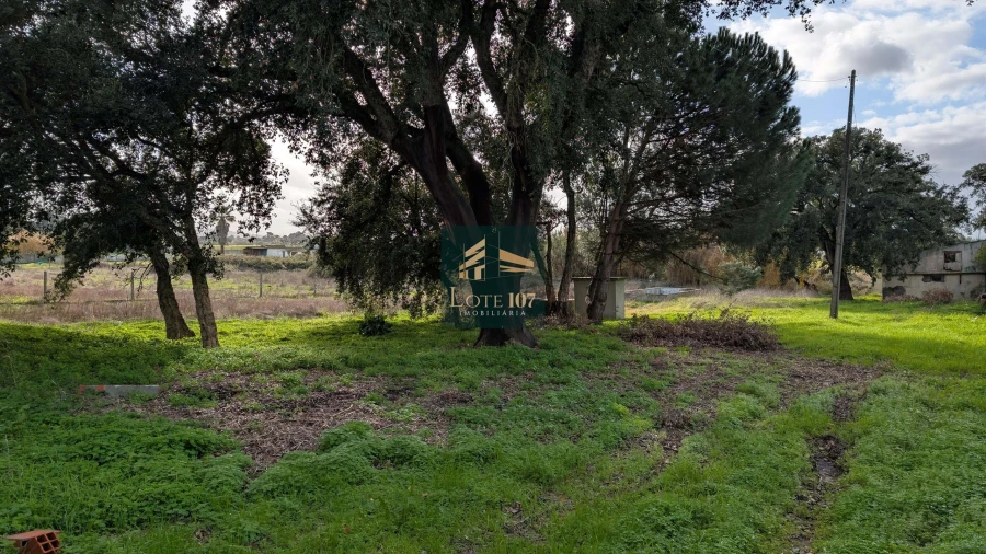 Terreno para Venda em Pinhal Novo Foto 6