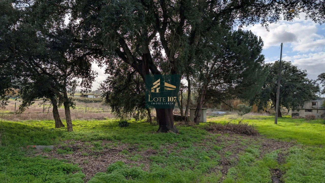 Terreno para Venda em Pinhal Novo Foto 7
