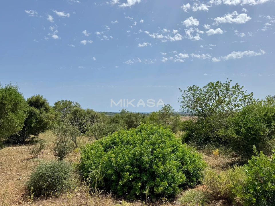 Terreno para Venda em Mexilhoeira Grande Foto 15