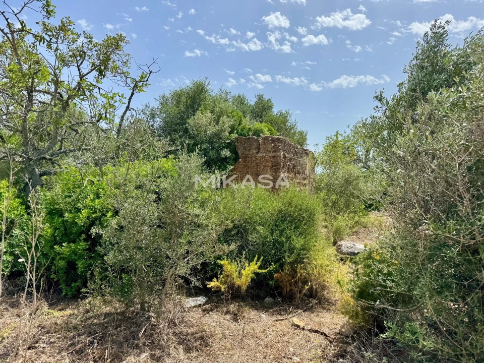 Terreno para Venda em Mexilhoeira Grande Foto 14