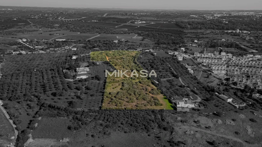 Terreno para Venda em Mexilhoeira Grande Foto 4