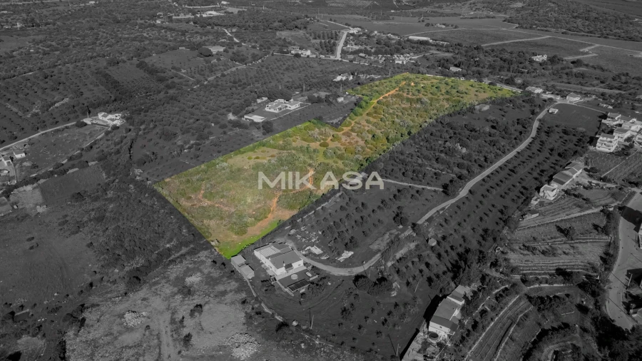 Terreno para Venda em Mexilhoeira Grande Foto 6