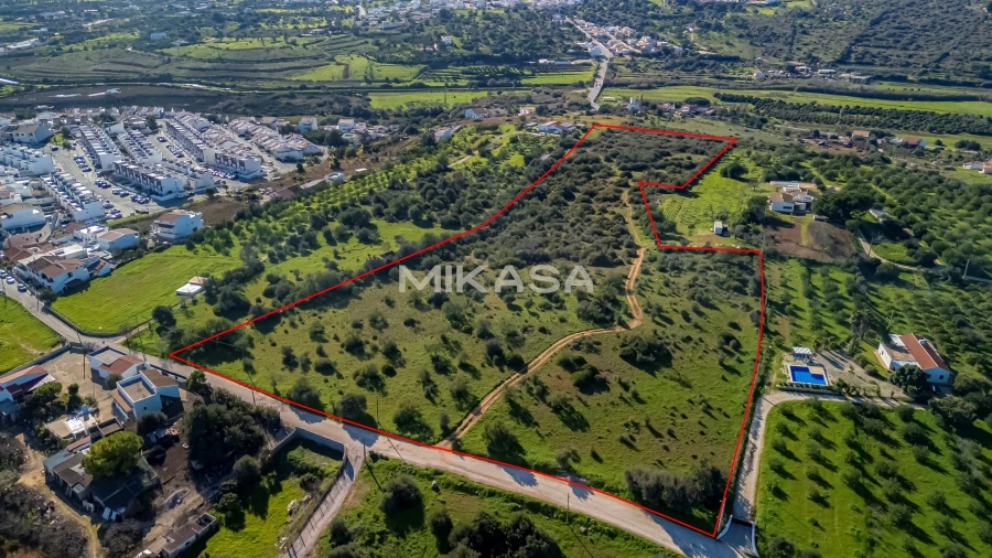 Terreno para Venda em Mexilhoeira Grande Foto 13