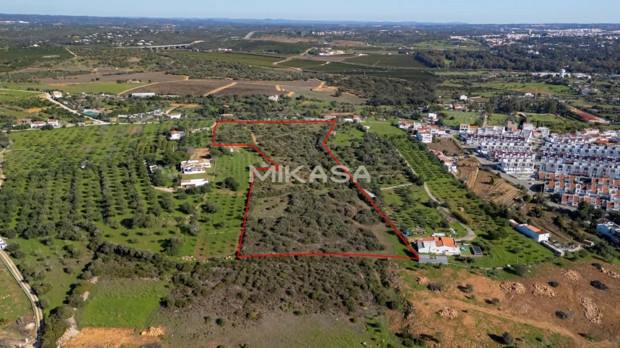 Terreno para Venda em Mexilhoeira Grande