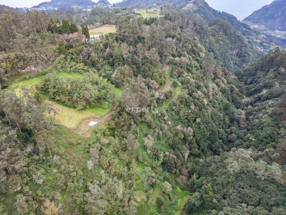 Terreno para Venda em Santana Foto 10