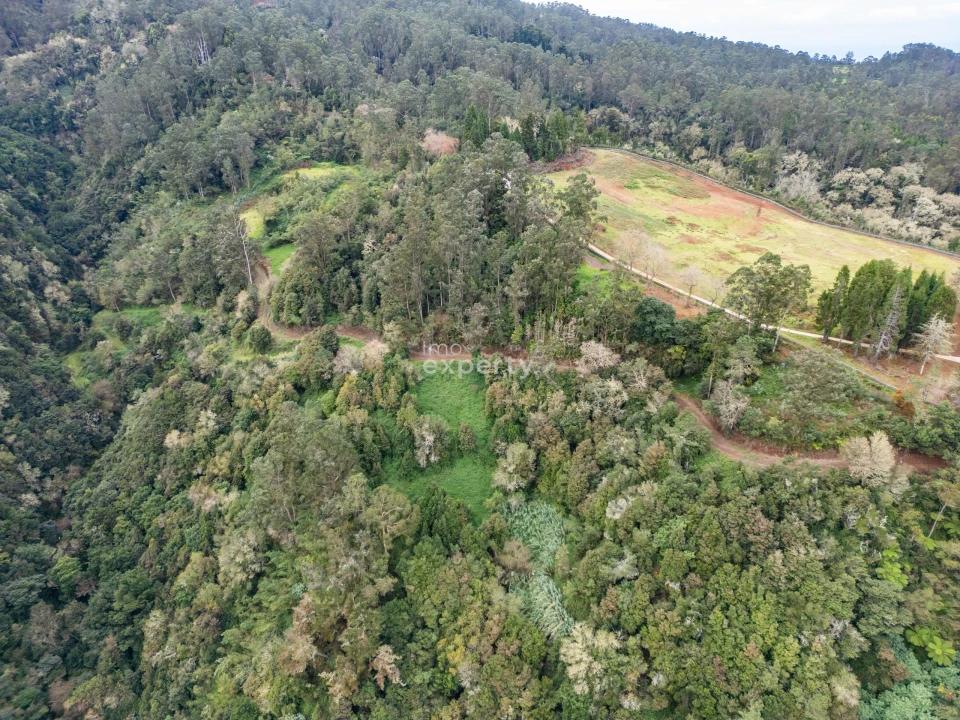 Terreno para Venda em Santana Foto 14