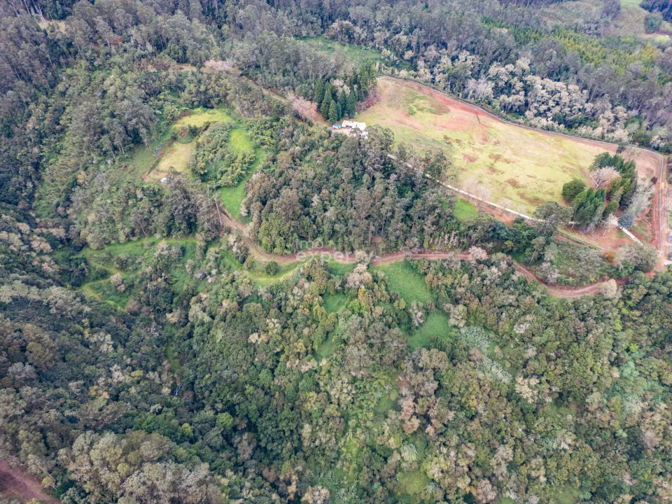 Terreno para Venda em Santana Foto 7