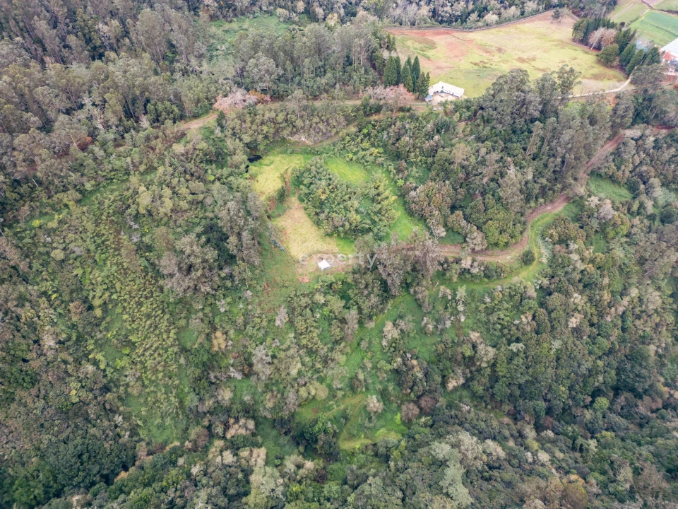 Terreno para Venda em Santana Foto 2
